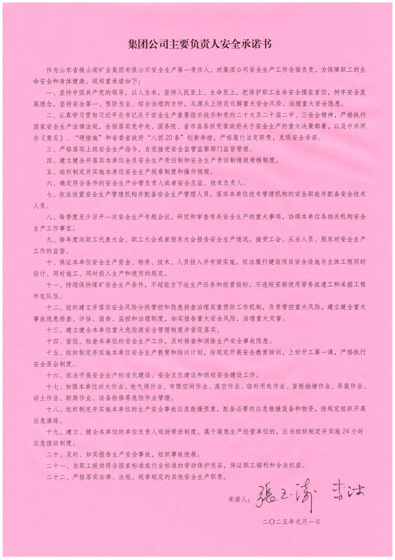 2025年集团公司主要负责人安全承诺书_00.jpg